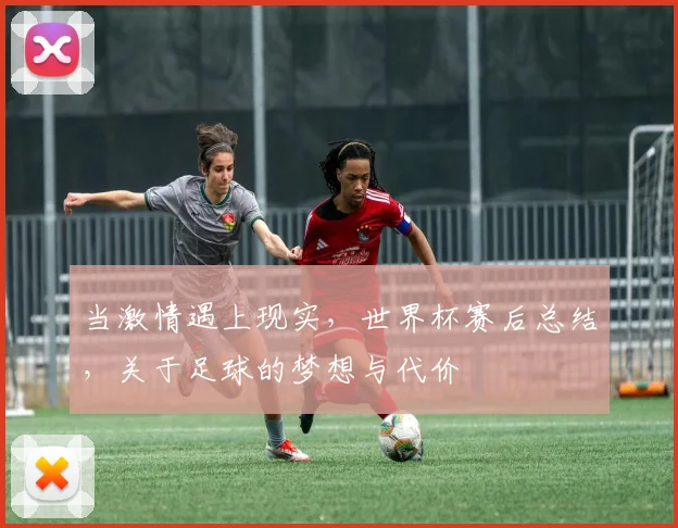 当激情遇上现实,世界杯赛后总结,关于足球的梦想与代价