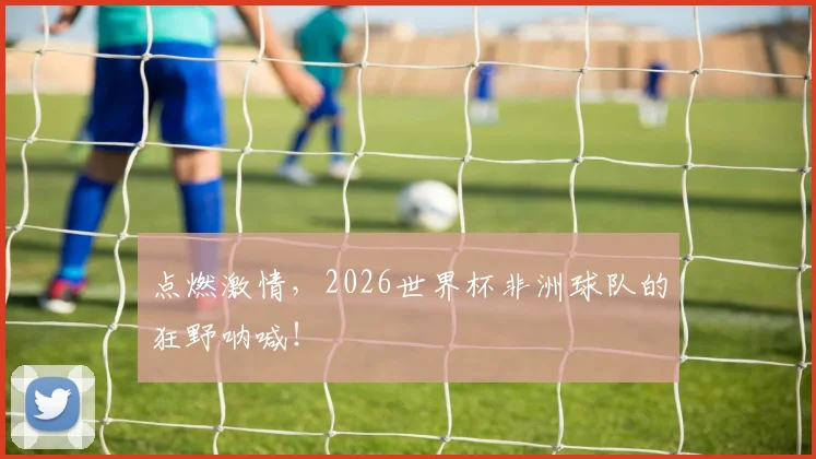点燃激情,2026世界杯非洲球队的狂野呐喊!