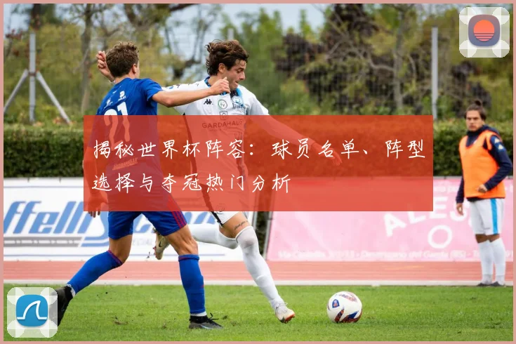 揭秘世界杯阵容:球员名单、阵型选择与夺冠热门分析