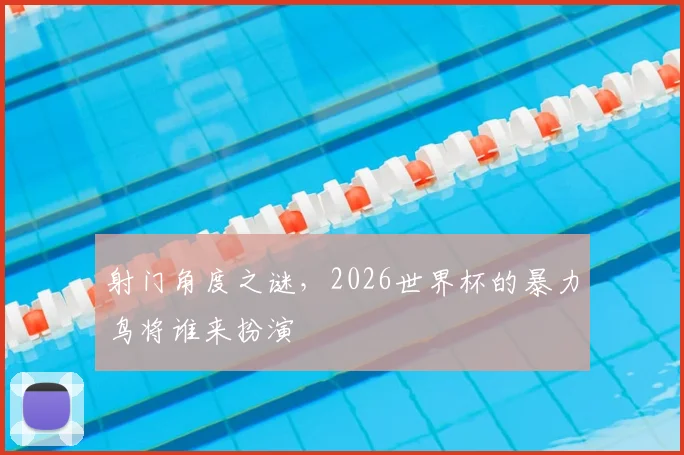 射门角度之谜，2026世界杯的暴力鸟将谁来扮演